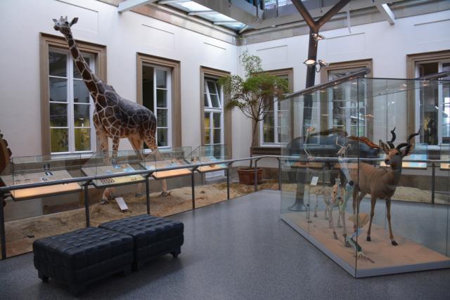 04.09.2015: Staatliches Museum für Naturkunde Stuttgart