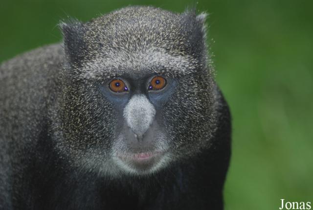 06.09.2008: Guided tour at Wrocław Zoo