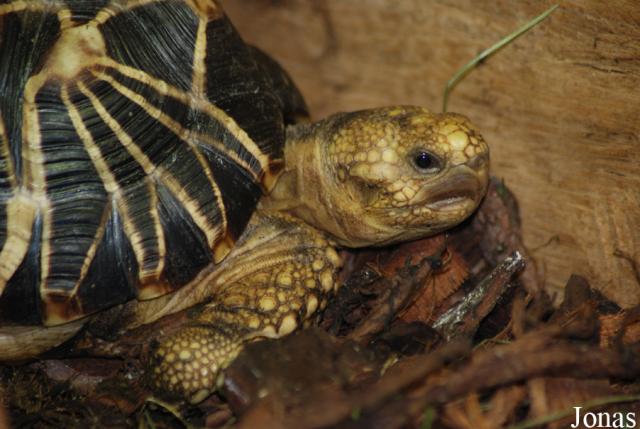 06.09.2008: Guided tour at Wrocław Zoo
