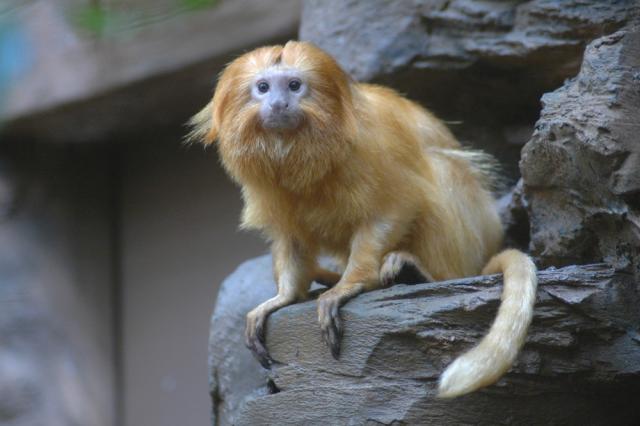 04.09.2010: Guided tour at Zoo Landau in der Pfalz
