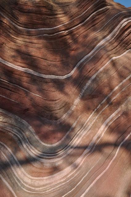 03.09.2011: Zoo Leipzig