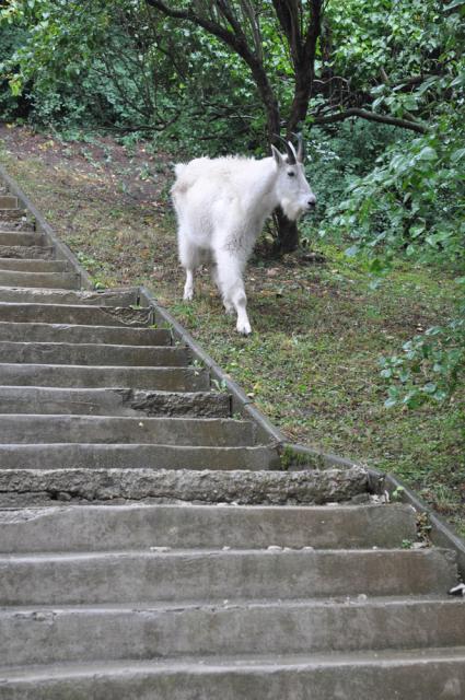 31.08.2012: Zoologická a botanická zahrada města Plzně