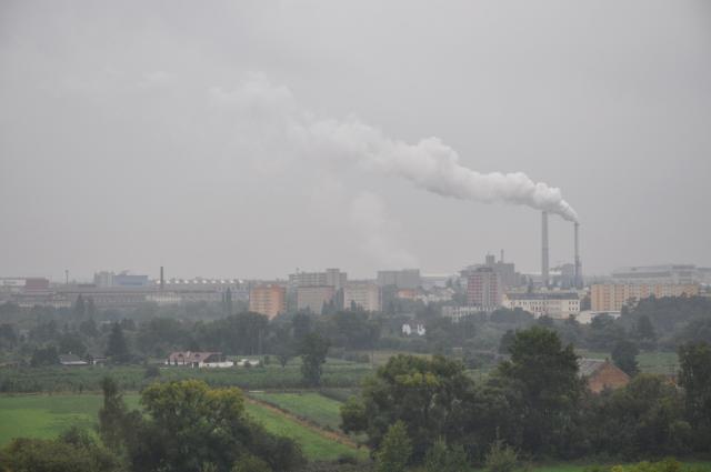 31.08.2012: Zoologická a botanická zahrada města Plzně