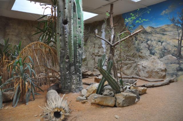 31.08.2012: Zoologická a botanická zahrada města Plzně