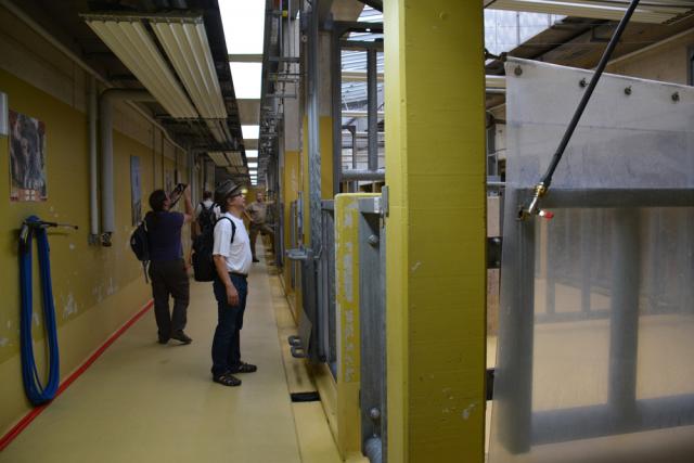 06.09.2014: Guided tour at Kölner Zoo