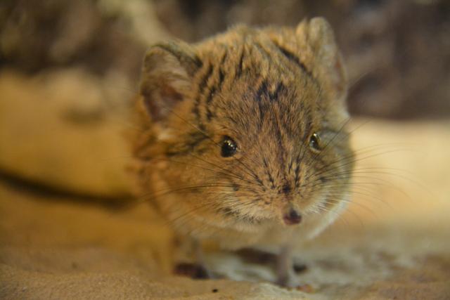 06.09.2014: Guided tour at Kölner Zoo