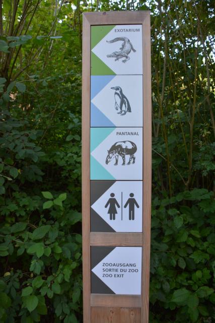 09.09.2016 Icebreaker at Altes Klösterli