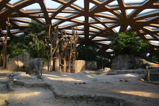 10.09.2016 Zoo Zürich