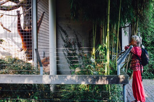 10.09.2016 Zoo Zürich