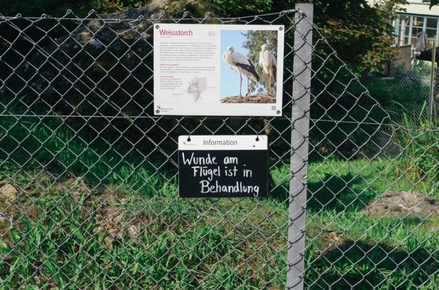 11.09.2016 Guided tour at Tierpark Goldau