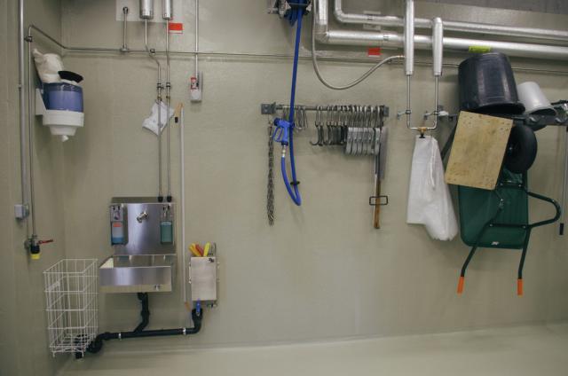 11.09.2016 Guided tour at Tierpark Goldau