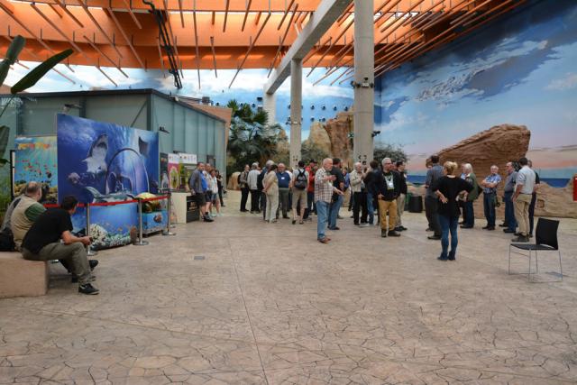 Zoohistorica 28 - Wroclaw 2017