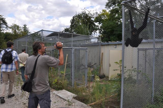 29.08.2009: Guided tour at Mulhouse Zoo