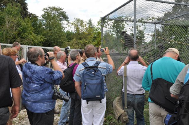 29.08.2009: Guided tour at Mulhouse Zoo
