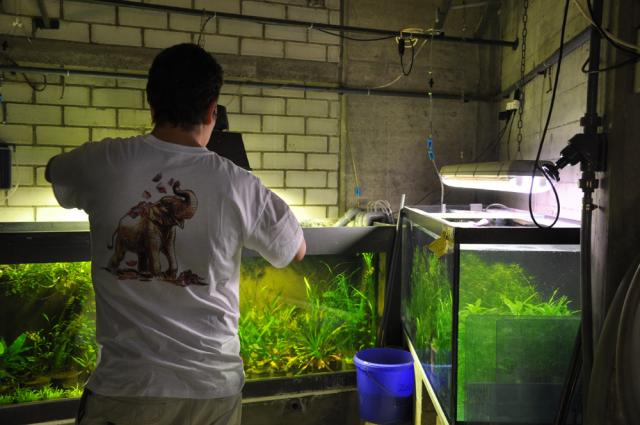 30.08.2009: Guided tour at Zoo Basel